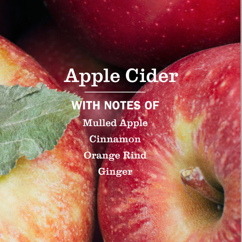Apple Cider Plug In Scented Warmer With Refill