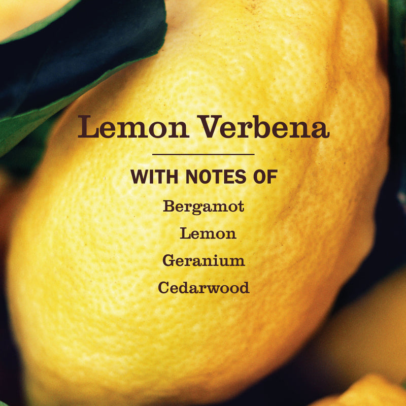 Mrs. Meyer's Lemon Verbena Laundry Detergent