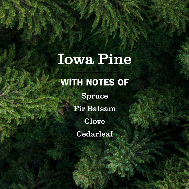 Mrs. Meyer's Iowa Pine Liquid Hand Soap