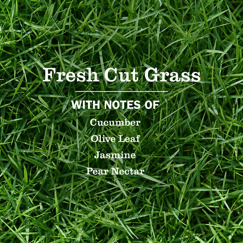 Fresh Cut Grass Plug in Scented Oil Warmer With Refill