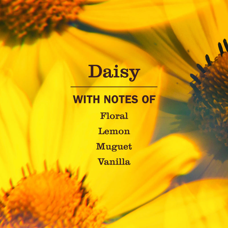Daisy Dish Soap | Mrs. Meyer's