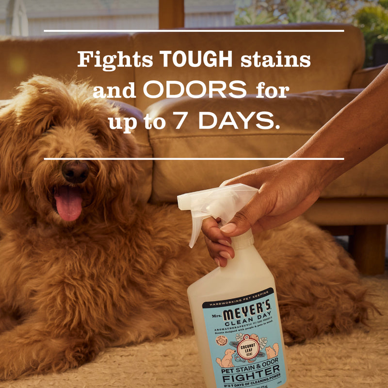Pet Cleaning Essentials Set