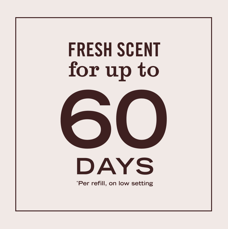 Acorn Spice Plug In Scented Oil Refill 2-Pack