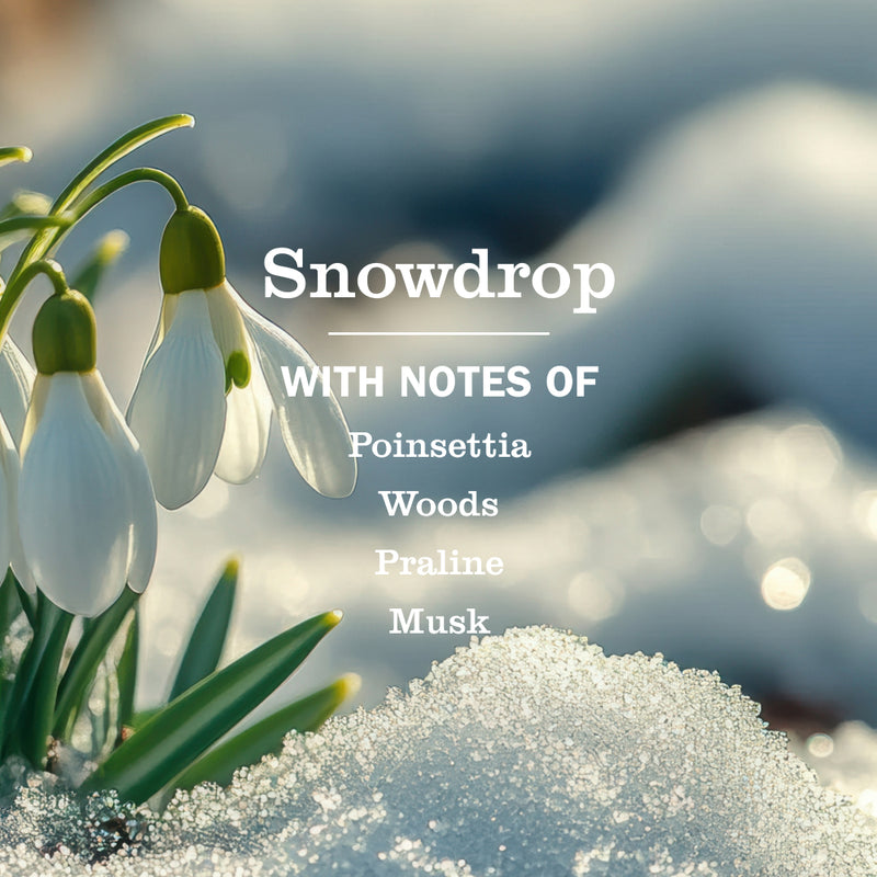 Mrs. Meyer's Snowdrop Liquid Hand Soap