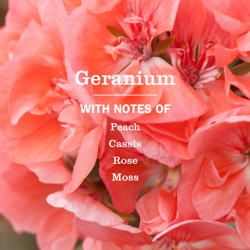 Mrs. Meyer's Geranium Kitchen Basics Set